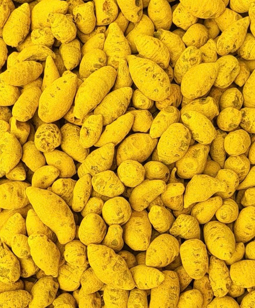 Turmeric image 7